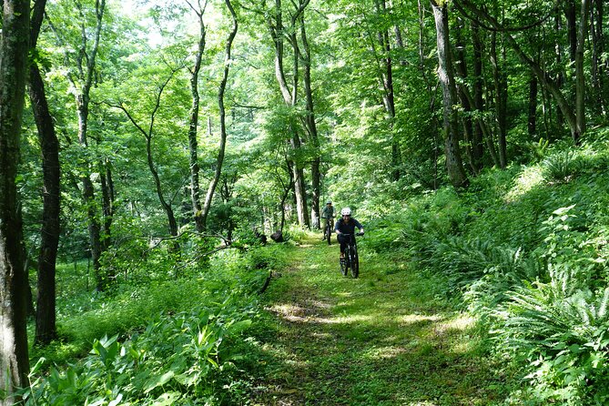 Half Day E-Bike Adventure Tour in Nagano - Cancellation Policy