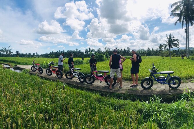 Half-Day Electric Fat Bike Tour of Ubud - Pricing Information