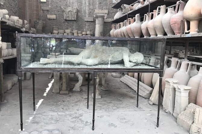 Half-Day Exclusive Private Tour of Pompeii and Herculaneum - Viators Services