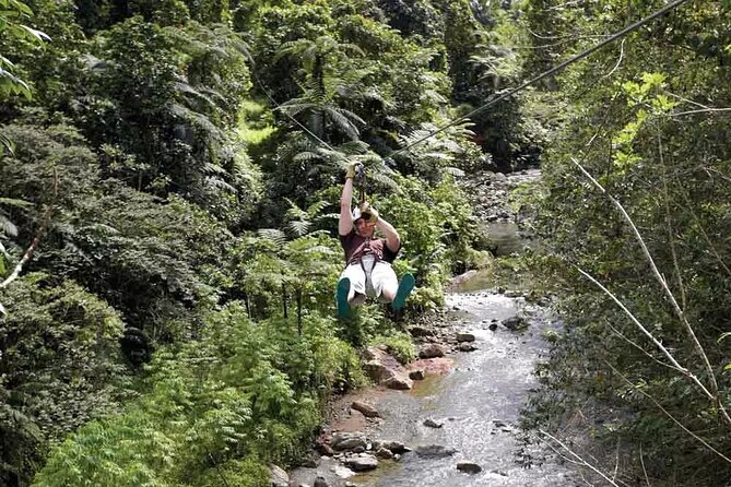 Half Day Fiji Zip-Line Tour at Pacific Harbour - Cancellation Policy