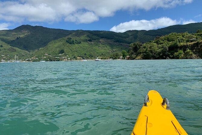 Half-Day Guided Sea Kayaking Tour From Anakiwa - Cancellation Policy Details