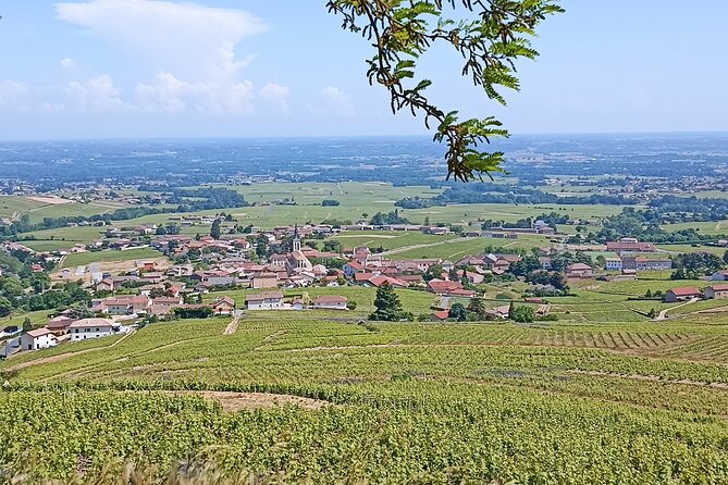 Half-Day Guided Tour With Tasting of Beaujolais Wines - Wine Tasting Experience