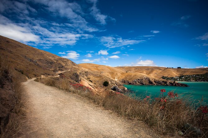 Half Day Guided Walking Tour on Banks Peninsula - Weather Considerations