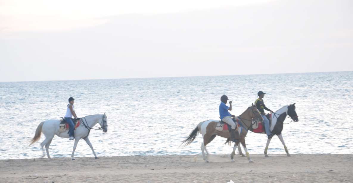 Half-Day Horse Riding in Kalpitiya - Booking and Reservation