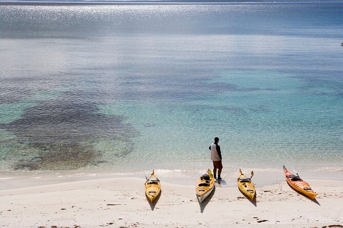 Half-Day Jervis Bay Sea Kayak Tour - Meeting Point and Departure