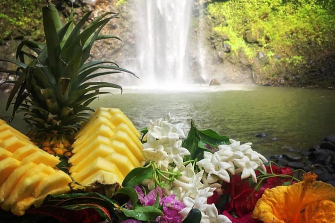Half-Day Kayak and Waterfall Hike Tour in Kauai With Lunch - Logistics