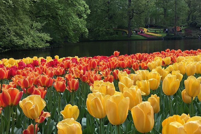 Half Day Keukenhof Tulip Paradise Trip From Amsterdam - Itinerary Overview