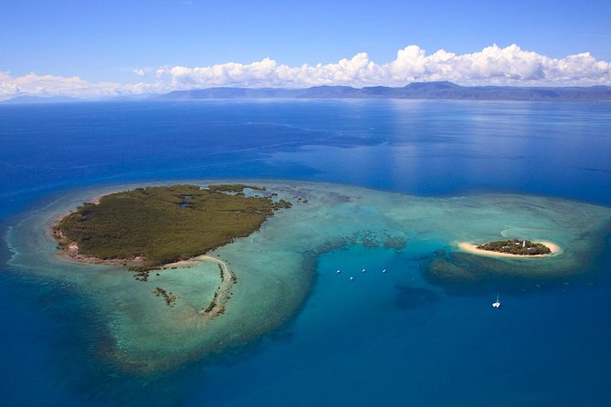 Half Day Low Isles Snorkelling Tour From Port Douglas - Itinerary and Expectations
