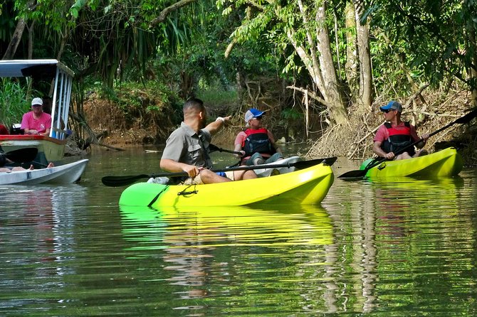 Half-Day Mangroves Tour by Kayak With a Naturalist Guide (Mar ) - Customer Reviews and Experiences