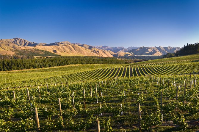 Half-Day Marlborough Wine Tour & Beer Tour - Additional Experiences