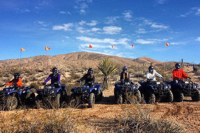 Half-Day Mojave Desert ATV Tour From Las Vegas - Customer Experiences and Reviews