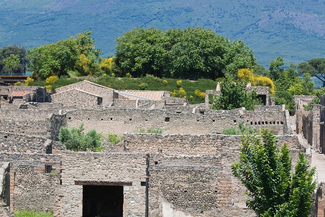 Half Day Pompeii Sightseeing Tour From Sorrento - Additional Information
