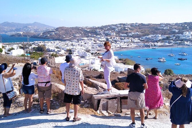 Half-Day Private Guided Tour in Mykonos up to 6 - Tour Highlights and Experience