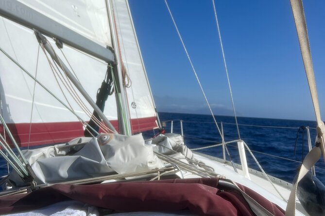 Half Day Private Sailing Cruise in Santorini Island up to 6 Pax - Customer Feedback Transparency