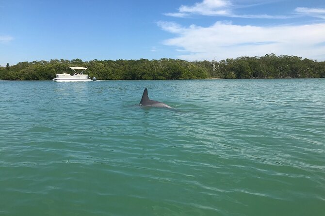 Half-Day Private Sarasota Charter Tour With Wildlife Watching - Traveler Recommendations and Reviews