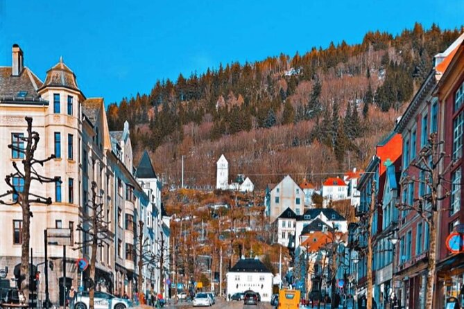 Half-Day Private Walking Tour in Bergen With Dinner and Funicular - Customizable Details