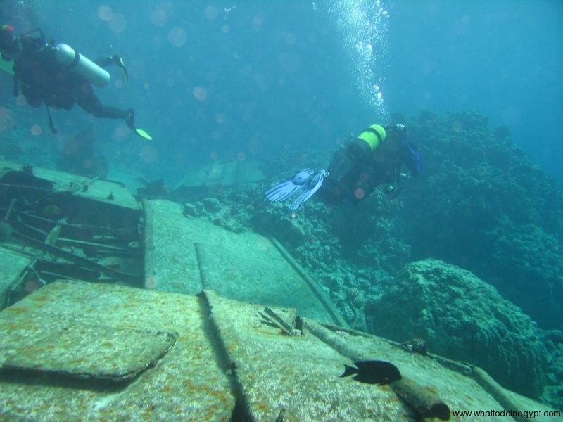 Half-Day: Professionals Diving in Open Water Tour With Lunch - Inclusions