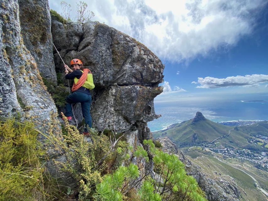 Half-Day Rock Climbing on Table Mountain - Full Description of the Adventure