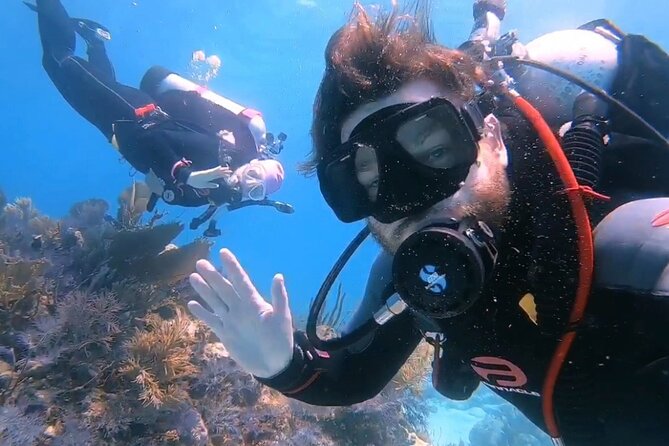 Half-Day Small-Group 2-Tank Scuba Dive in Key Largo (CERTIFIED DIVERS ONLY) - Expectations and Requirements