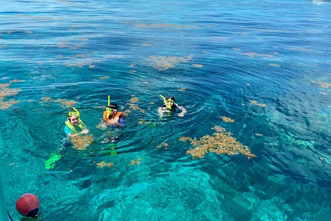 Half Day Snorkel Trip on Reefs in the Florida Keys - Logistics