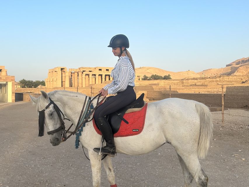 Half-Day to Discover Luxor on Horseback - Varied Ride Options and Local Cuisine