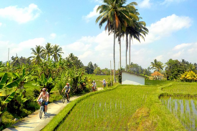 Half-Day Ubud Electric Cycling Tour to Tirta Empul Water Temple - Additional Information