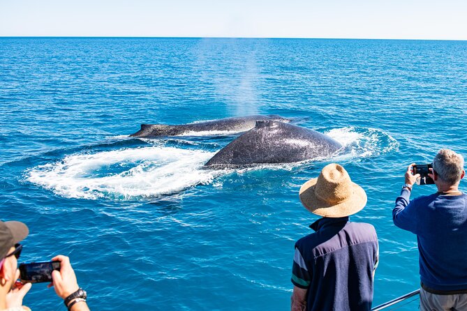 Half-Day Whale Watching Sunset Cruise From Broome - Important Booking and Refund Policies