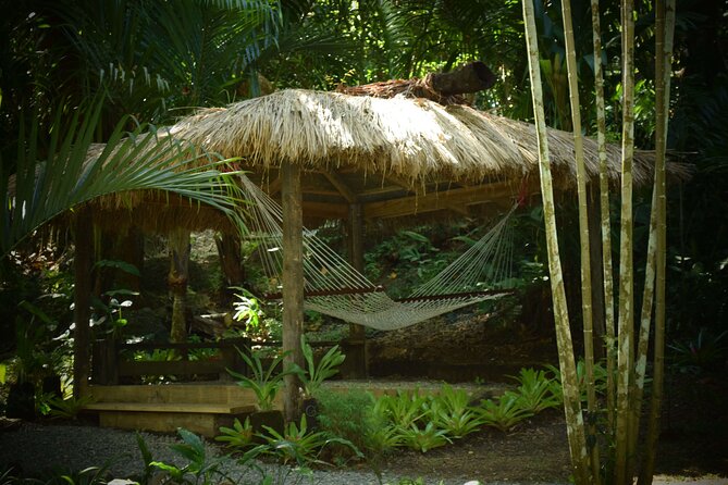 Halfday Private Mudpools,Veseisei Fijian Village,Sleeping Giants Garden&Shopping - Sleeping Giants Garden Experience