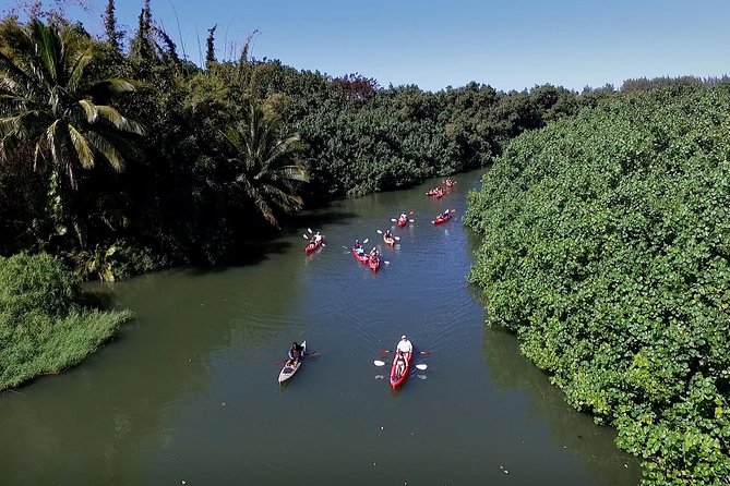 Hanalei Bay AM Kayak and Snorkel Tour - Customer Experiences