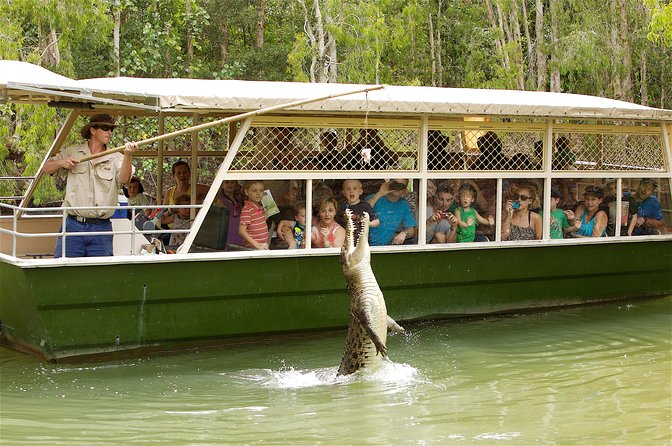 Hartleys Crocodile Adventure Half-Day Tour - Visitor Feedback