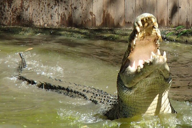 Hartleys Crocodile Adventures Day Trip From Palm Cove - Additional Traveler Information