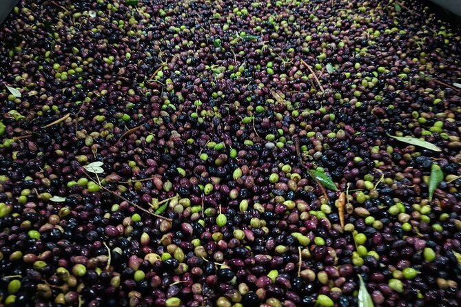 Heraklion: Visit A Family-Run Olive Mill With Food Pairing - Family History