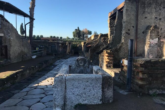 Herculaneum - Small Group Tour - Additional Information