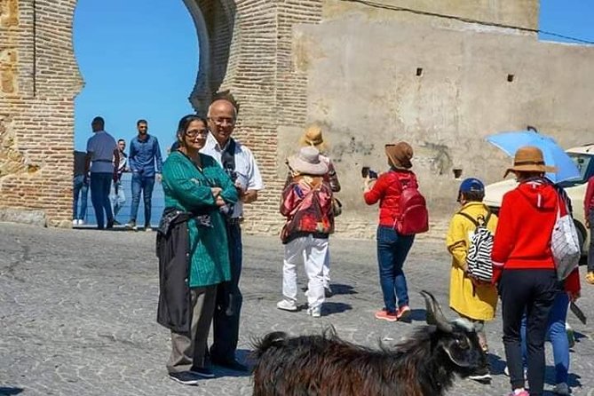 Highlights of Tangier Half Day Tour - Traveler Reviews and Feedback