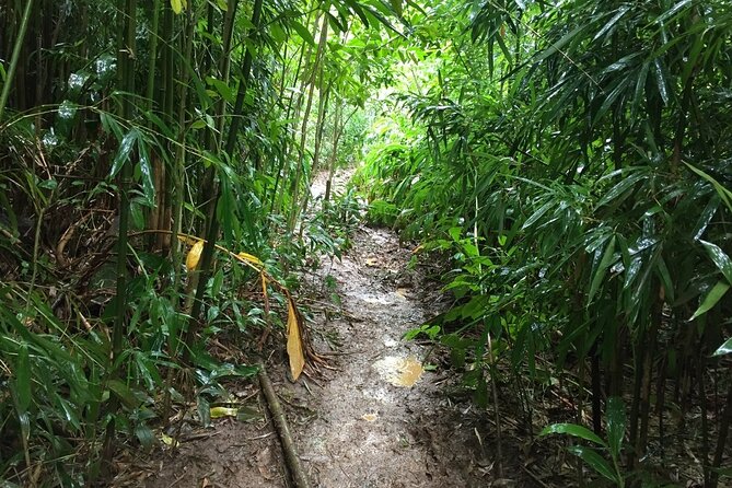 Hike Trail to Waterfall & Nature Walk - Meeting Point and Time Information