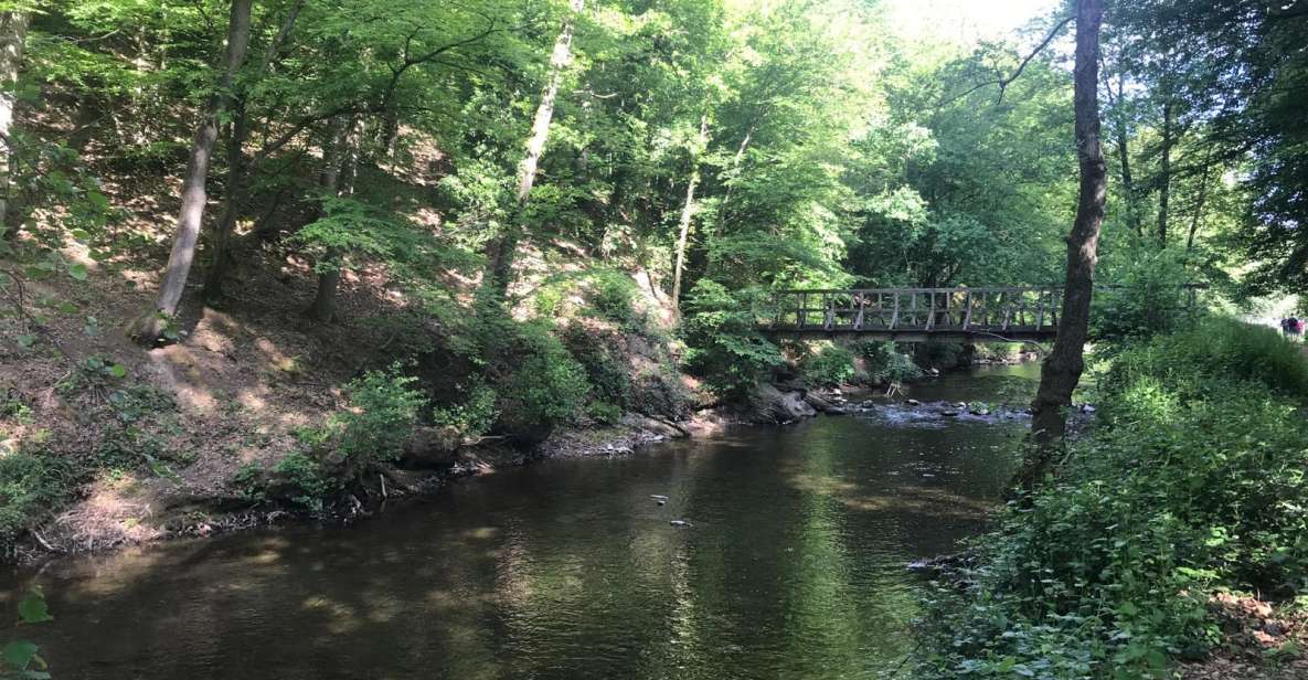 Hikes With a Picnic Backpack in the Ardennes - Lunch Options Along the Route