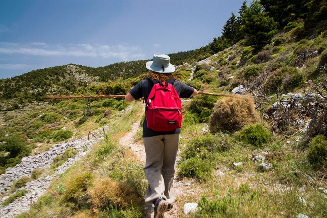 Hiking Above Kalamata - Safety Tips for Hiking