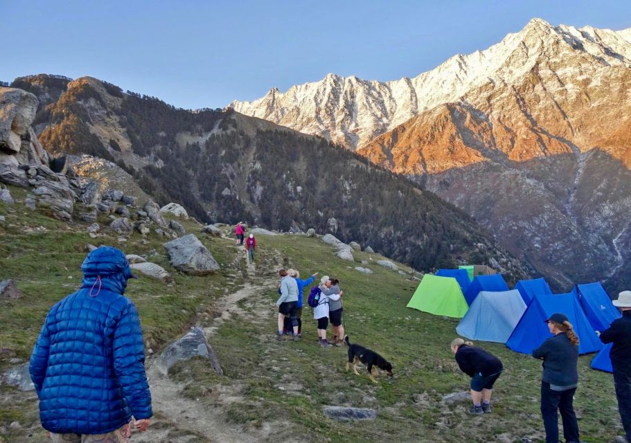 Hiking Day Tour to Triund From Dharamshala - Experience Highlights and Itinerary Details