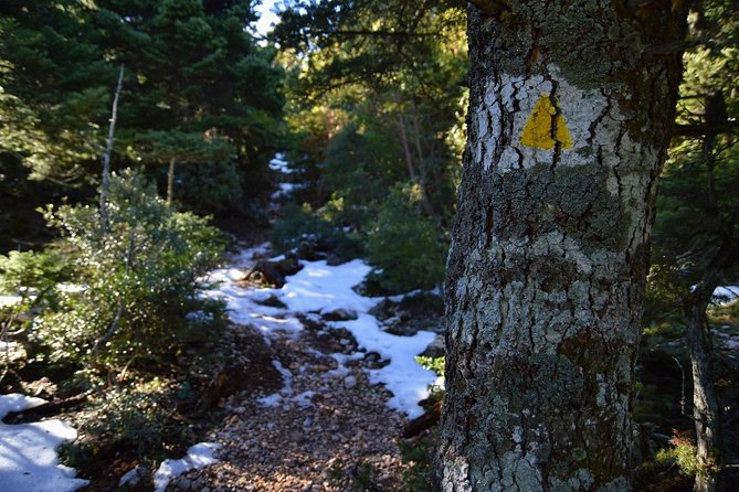 Hiking in Parnitha National Park From Athens - Best Times to Explore Parnitha