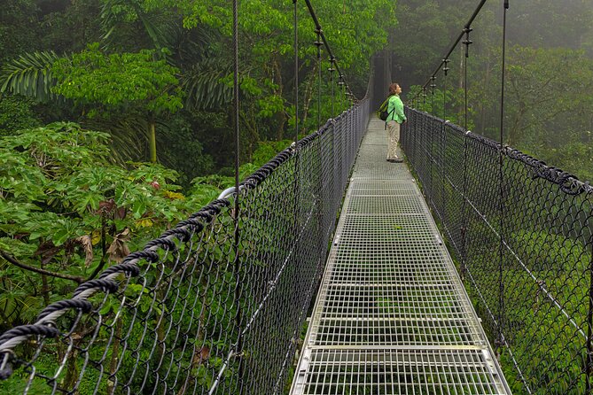 Hiking Lovers (Hanging Bridges La Fortuna Waterfall Volcano Hike) - Pickup and Logistics