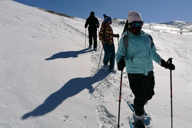 Hiking Snowshoeing in the Sierra Nevada Park, Granada - Cancellation Policy