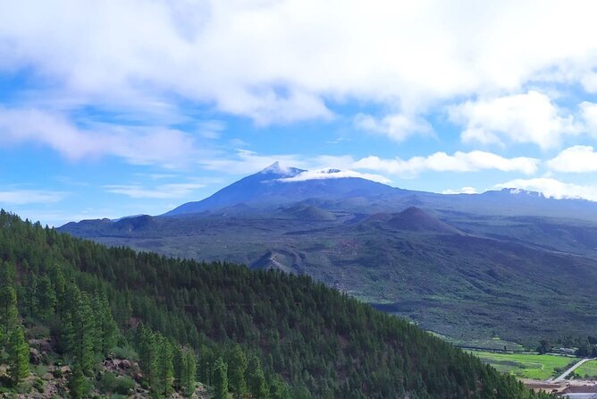 Hiking Through Enchanted Forest Above Masca Half-Day Hike Tenerif - Guide and Reviews