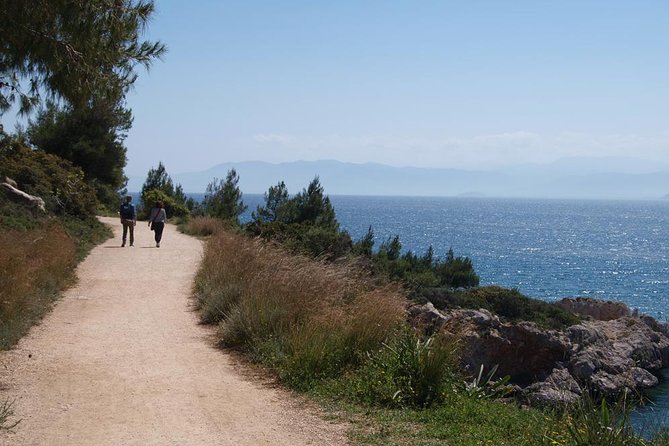 Hiking Tour in Nafplio - Native Flora and Fauna Insights