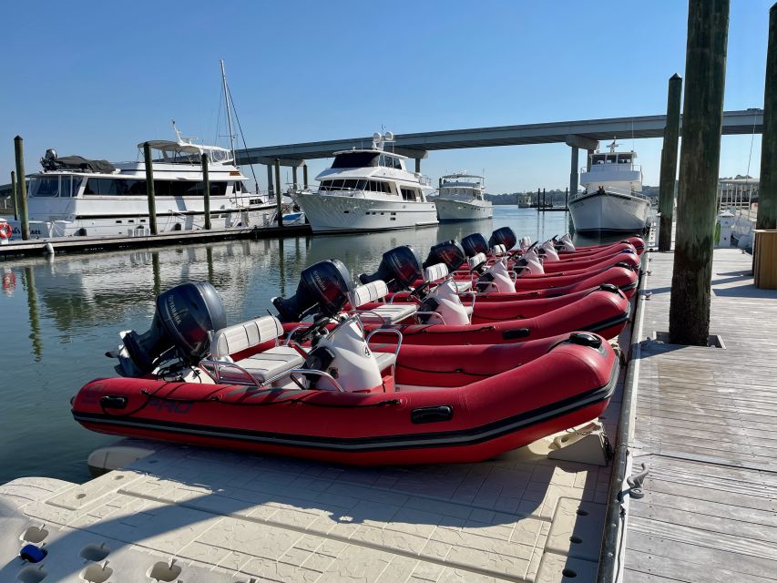 Hilton Head: Guided Disappearing Island Tour by Mini Boat - Full Description
