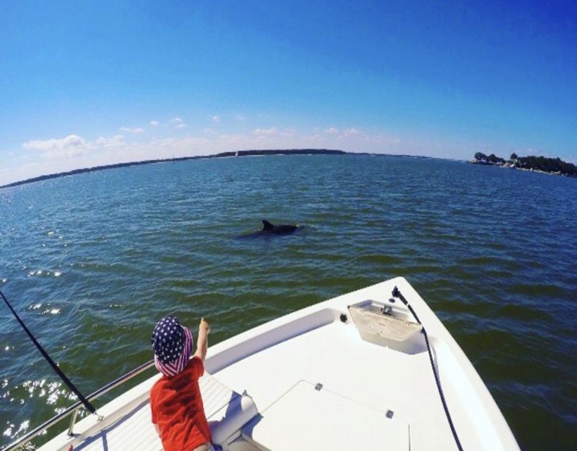 Hilton Head Island: Private Dolphin Watching Boat Tour - Activity Highlights and Experience