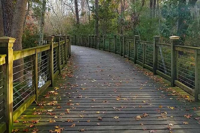 Hilton Head Segway Tropical Pathway Ride (90 Minutes) - Inclusions and Logistics