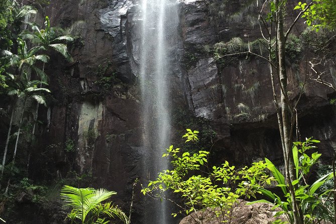 Hippy Trail Hinterland Tour From Byron Bay