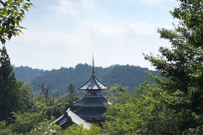 Historic and Natural Guided Hike in Yoshino - Guided Tour Information