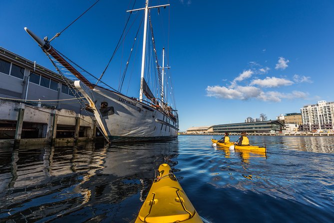 Hobart Kayak Tour - Customer Experiences and Reviews