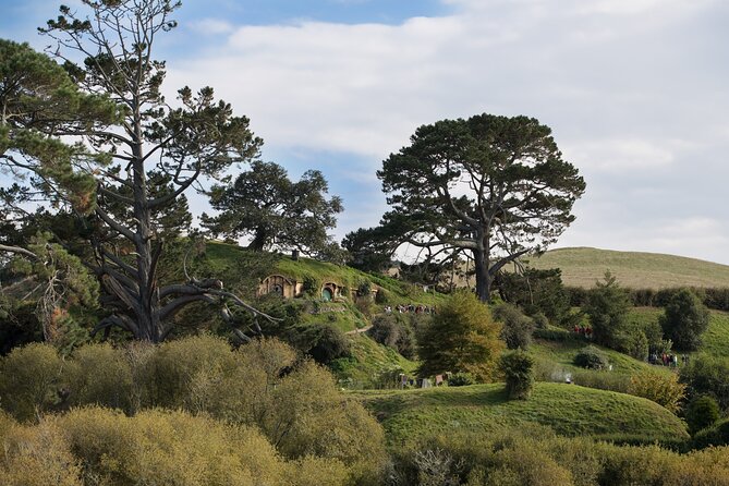 Hobbiton Day Tour From Rotorua With Lunch at Hobbiton - Booking Information and Pricing